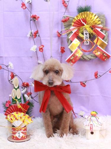 20230128こたろうくん